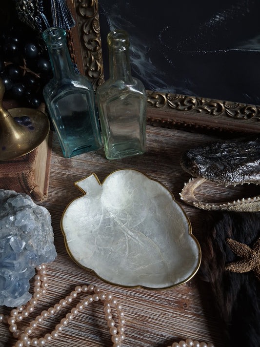Vintage Mother-of-Pearl Shell Dish