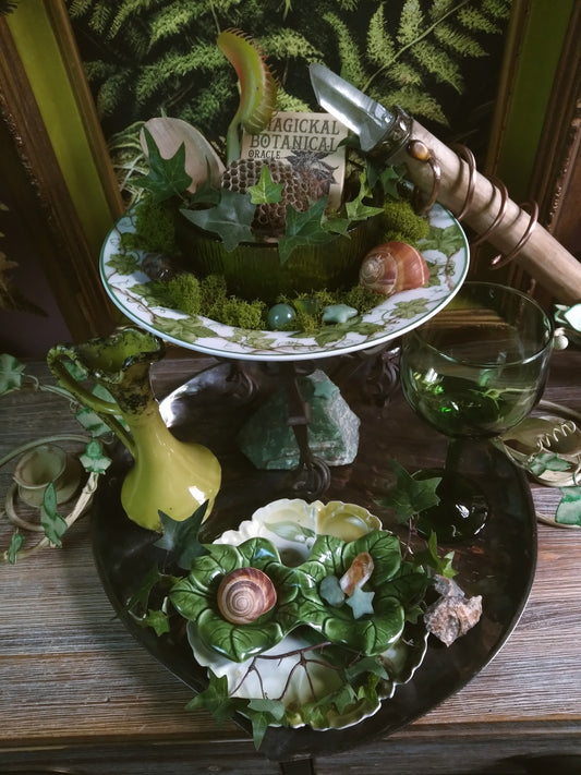 Vintage Druid Forest Witch Altar