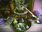 Vintage Druid Forest Witch Altar