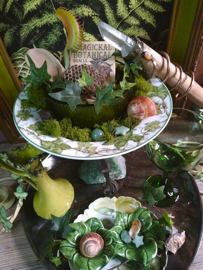 Vintage Druid Forest Witch Altar