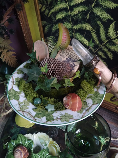 Vintage Druid Forest Witch Altar