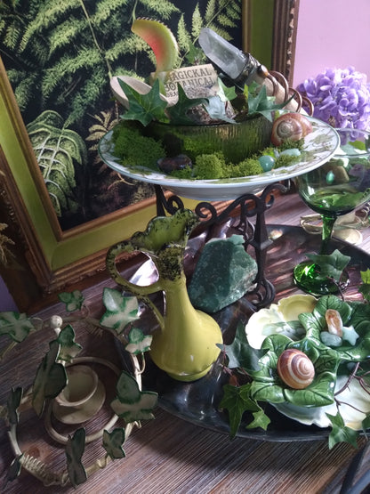 Vintage Druid Forest Witch Altar
