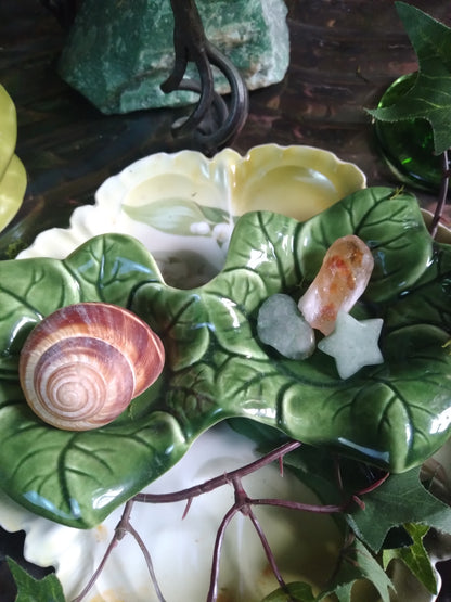 Vintage Druid Forest Witch Altar