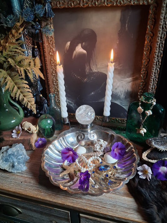Vintage Silver Shell Offering Dish