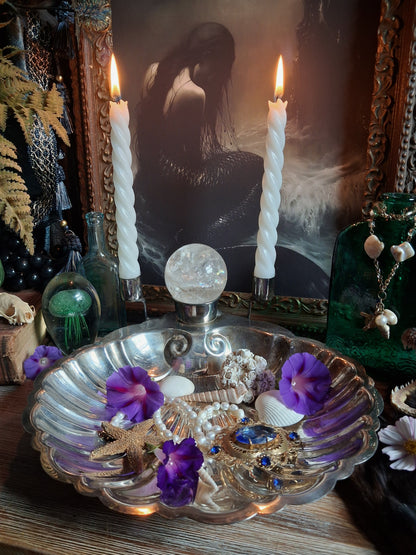 Vintage Silver Shell Offering Dish