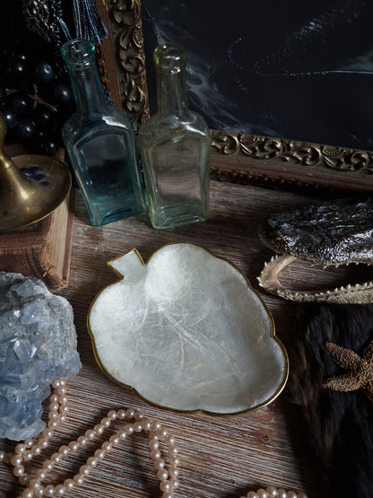 Vintage Mother-of-Pearl Shell Dish