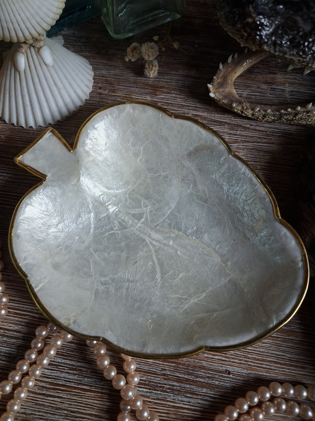 Vintage Mother-of-Pearl Shell Dish