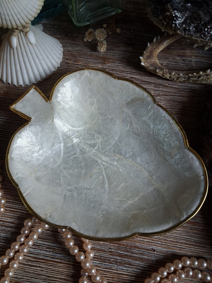 Vintage Mother-of-Pearl Shell Dish