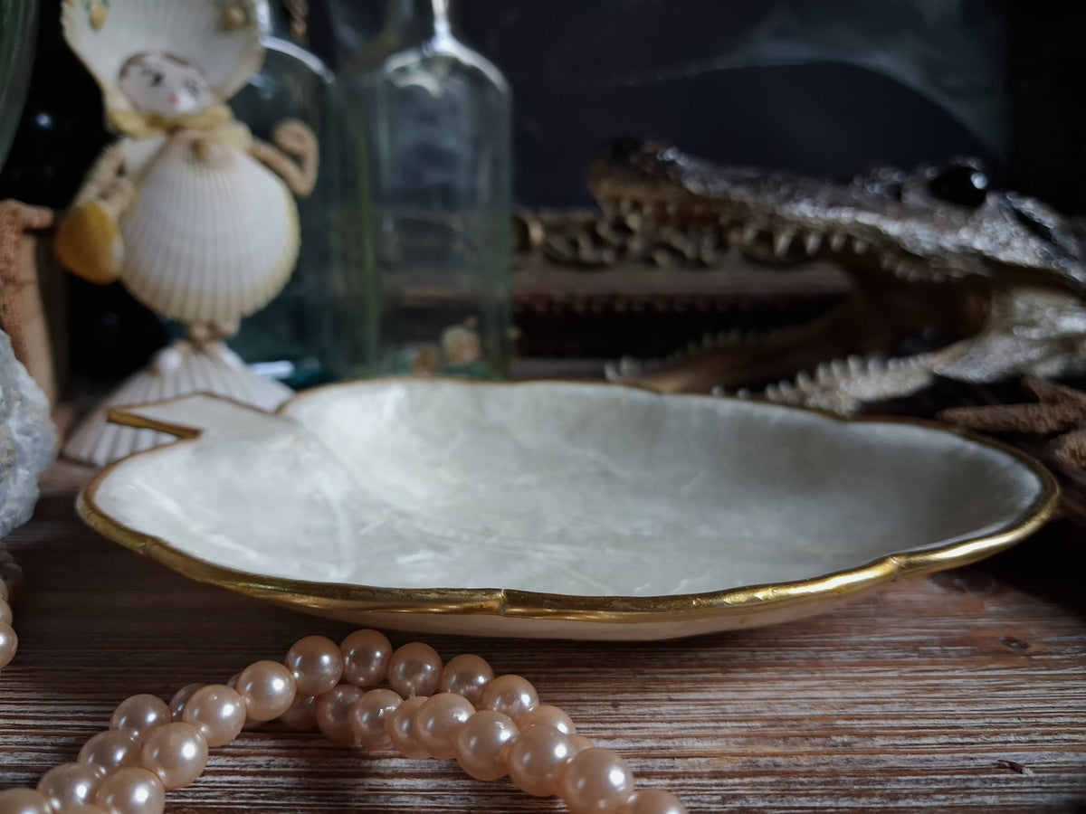 Vintage Mother-of-Pearl Shell Dish
