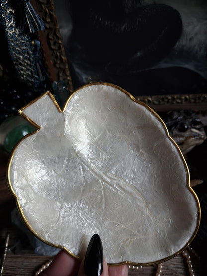Vintage Mother-of-Pearl Shell Dish