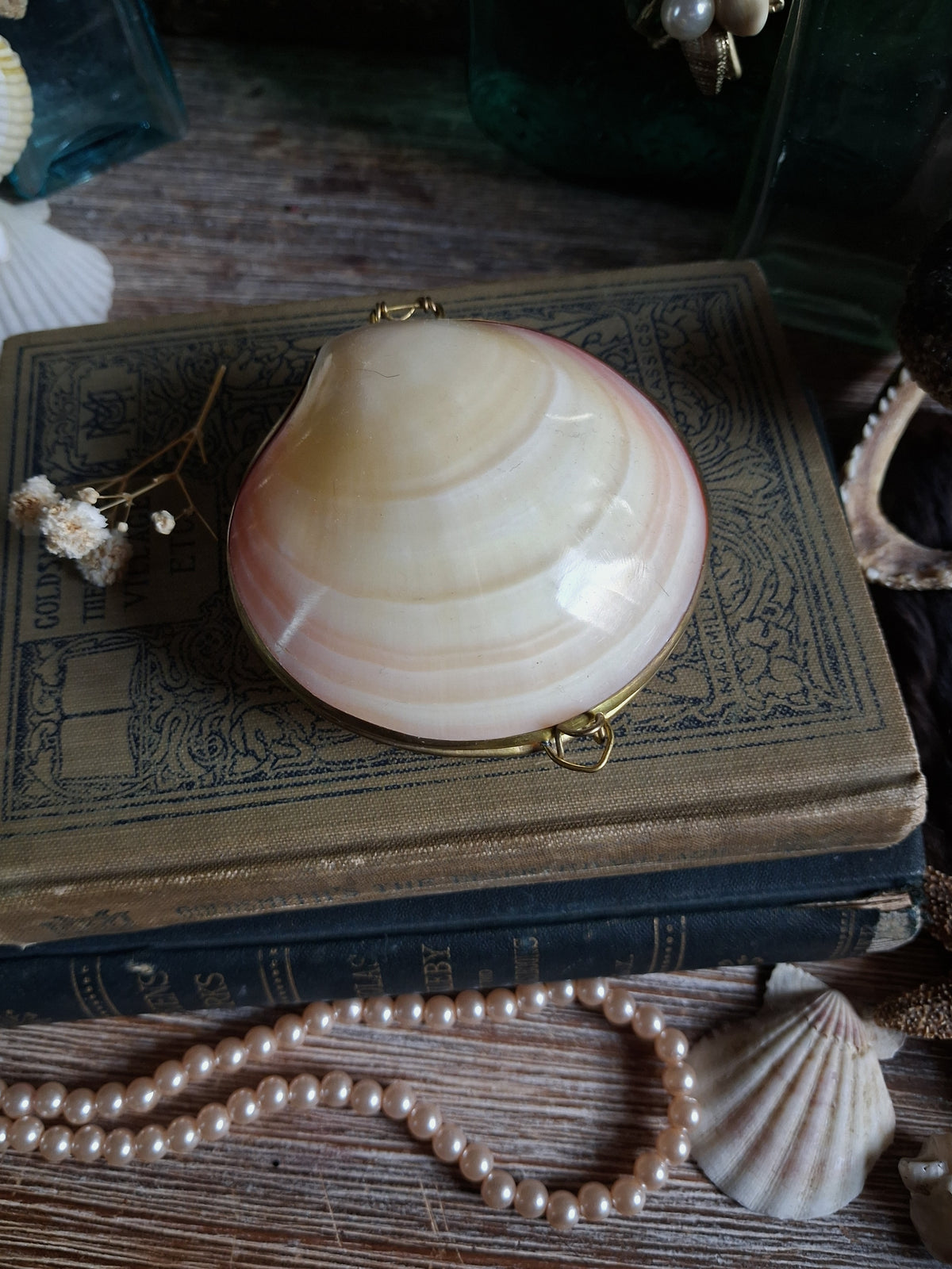 Vintage Hinged Natural Seashell Trinket Box