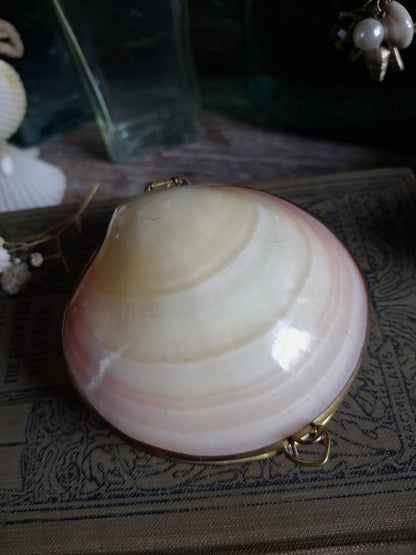 Vintage Hinged Natural Seashell Trinket Box