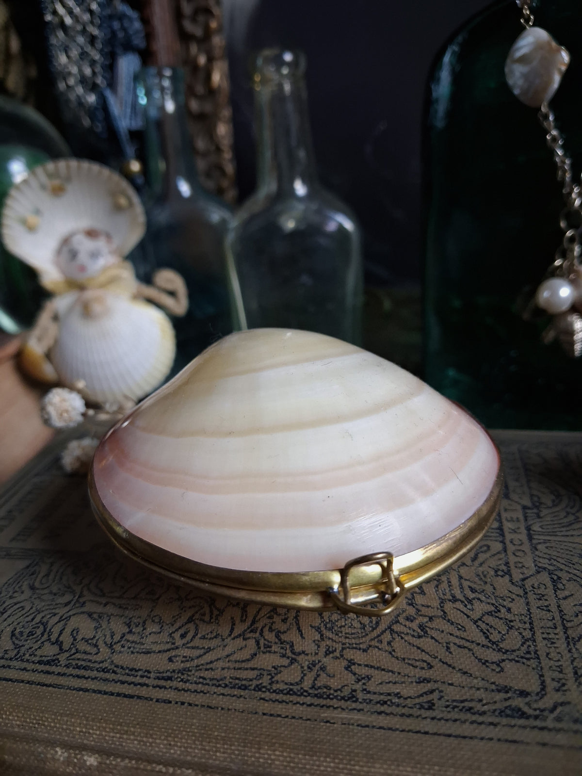 Vintage Hinged Natural Seashell Trinket Box