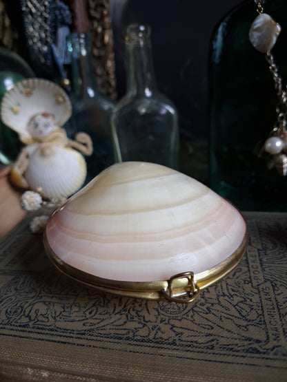 Vintage Hinged Natural Seashell Trinket Box