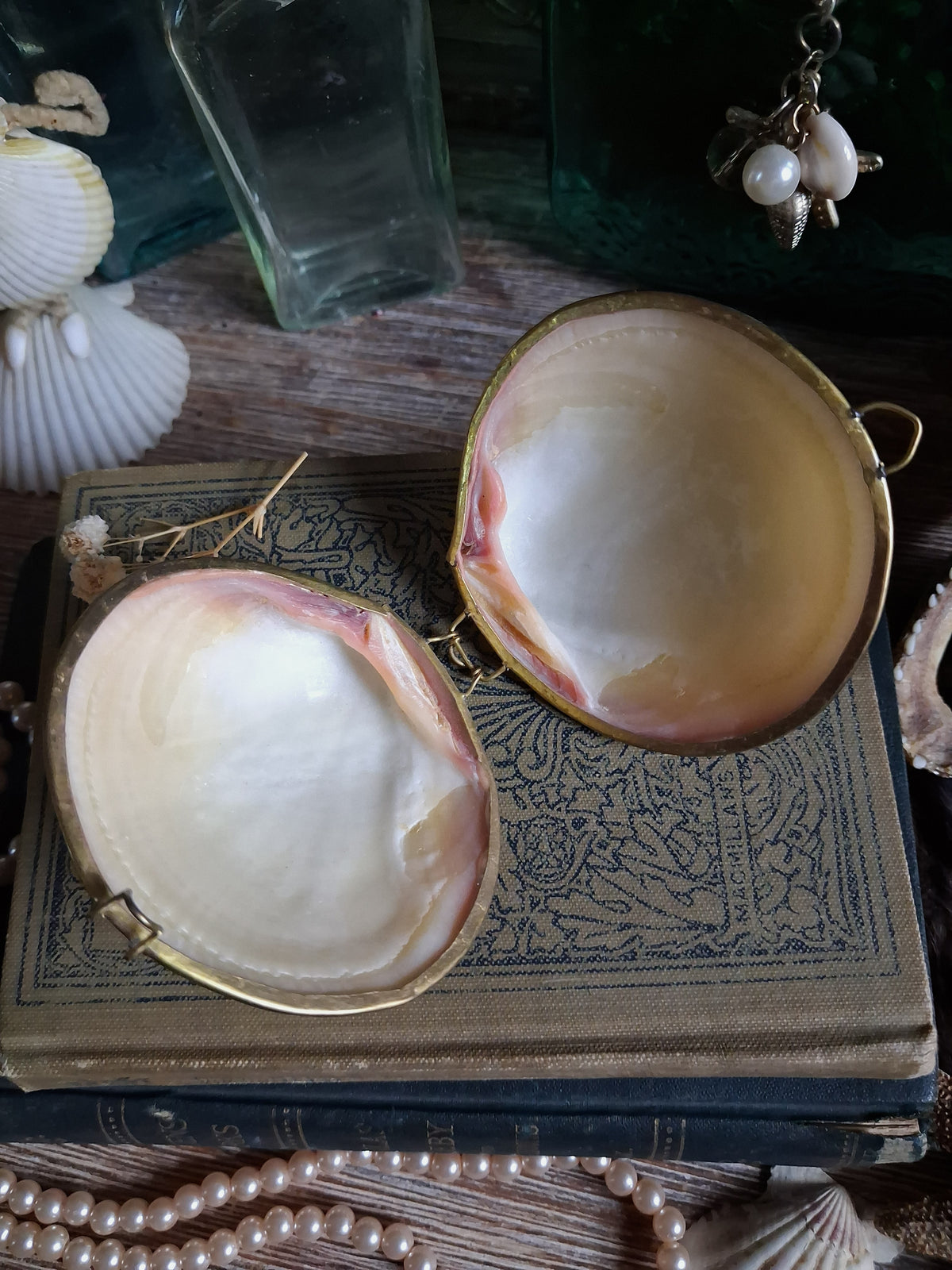 Vintage Hinged Natural Seashell Trinket Box