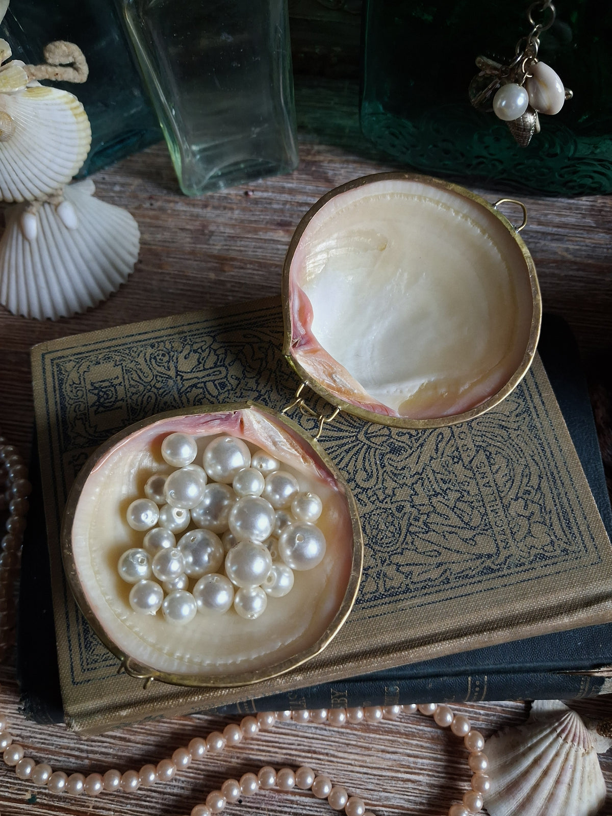 Vintage Hinged Natural Seashell Trinket Box