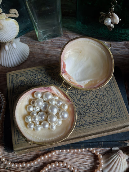 Vintage Hinged Natural Seashell Trinket Box