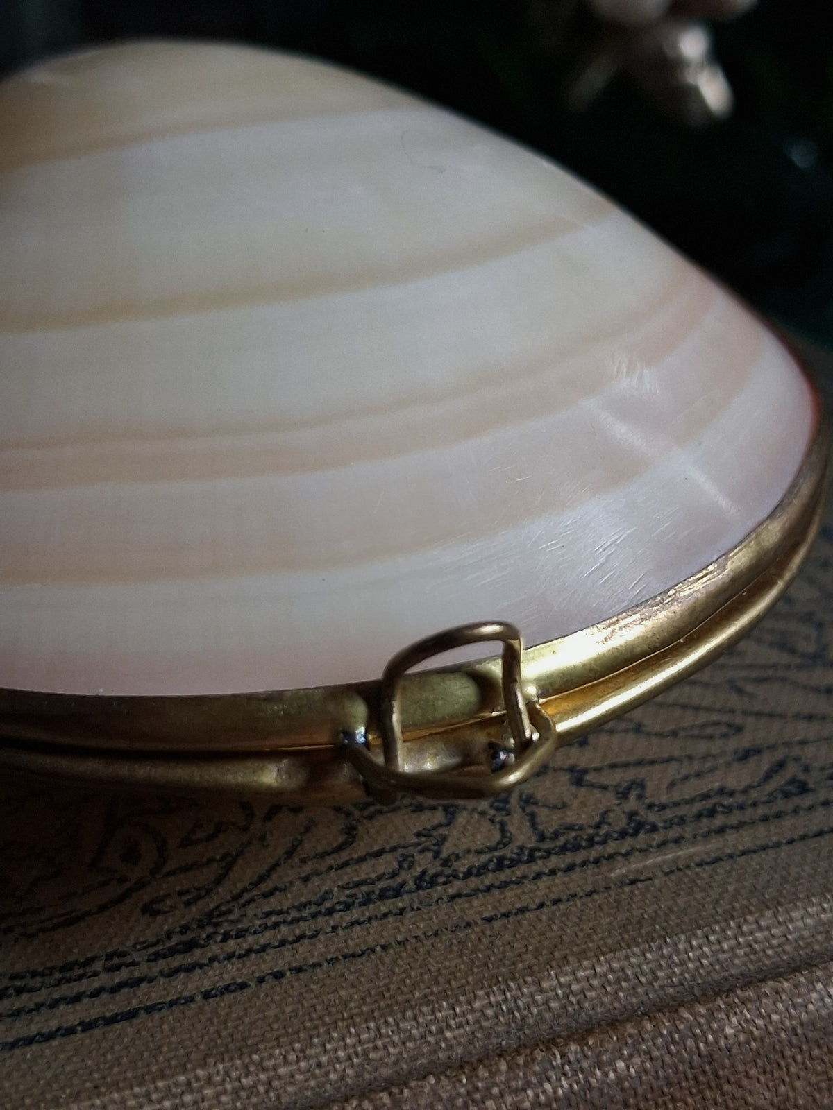 Vintage Hinged Natural Seashell Trinket Box