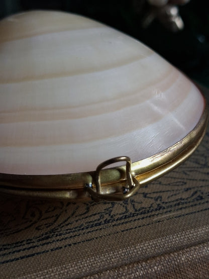 Vintage Hinged Natural Seashell Trinket Box