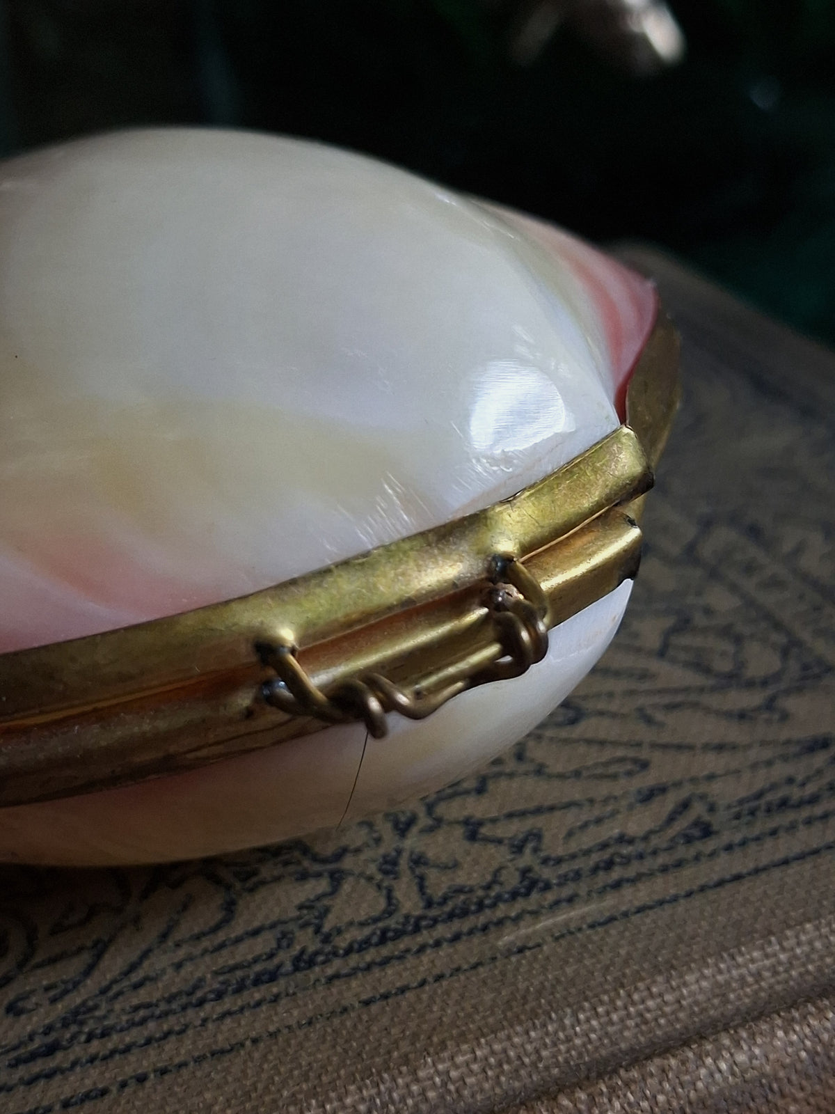 Vintage Hinged Natural Seashell Trinket Box