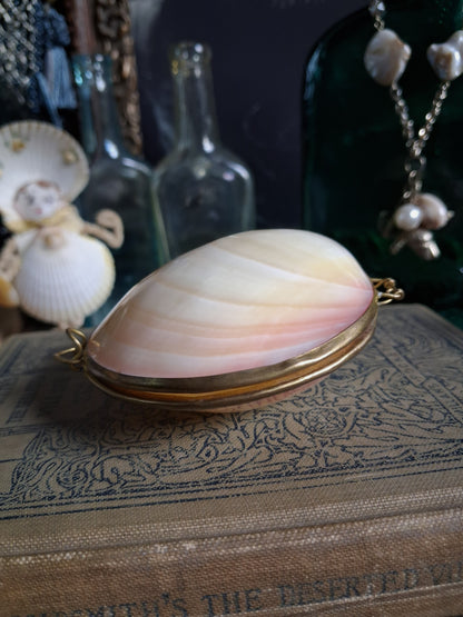 Vintage Hinged Natural Seashell Trinket Box