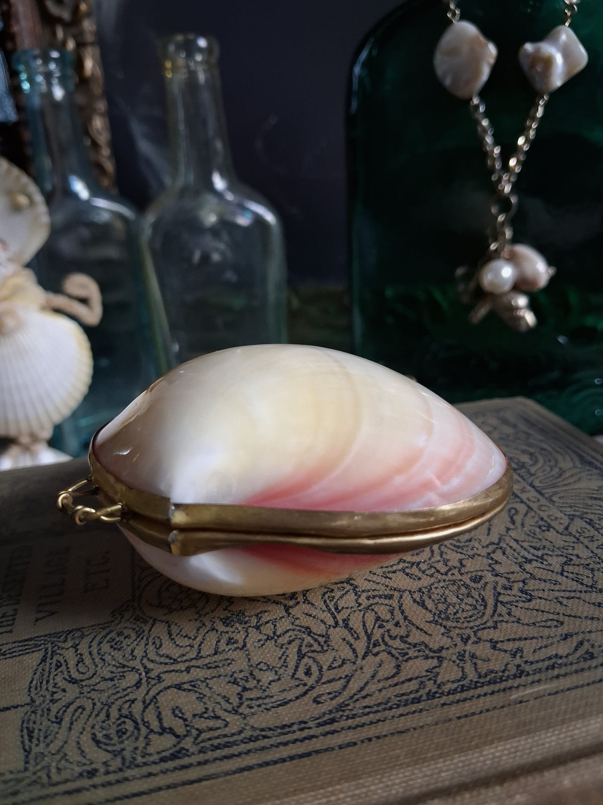 Vintage Hinged Natural Seashell Trinket Box