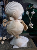 Circa 1920s Antique Seashell Lady Folk Art Figurine
