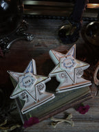 Pair of Vintage Order of the Eastern Star Vases