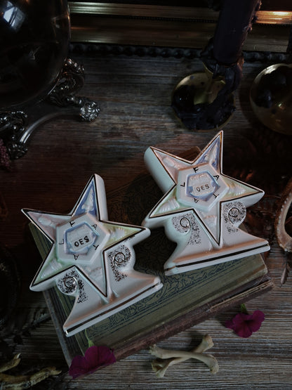 Pair of Vintage Order of the Eastern Star Vases