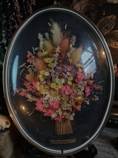 Vintage Belgian Dried Floral Art