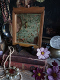 Vintage Foxed Glass Wall Mirror