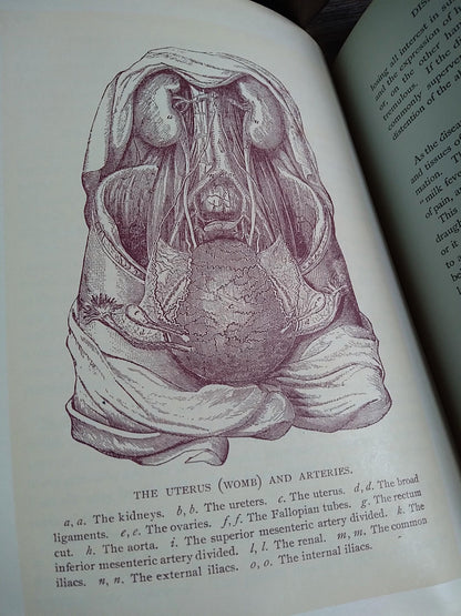 1896 Antique Book — The Glory of Woman