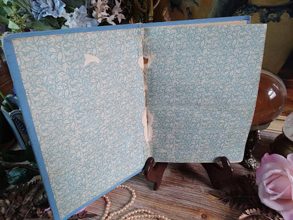 1896 Antique Book — The Glory of Woman