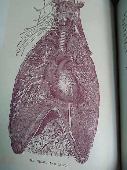 1896 Antique Book — The Glory of Woman